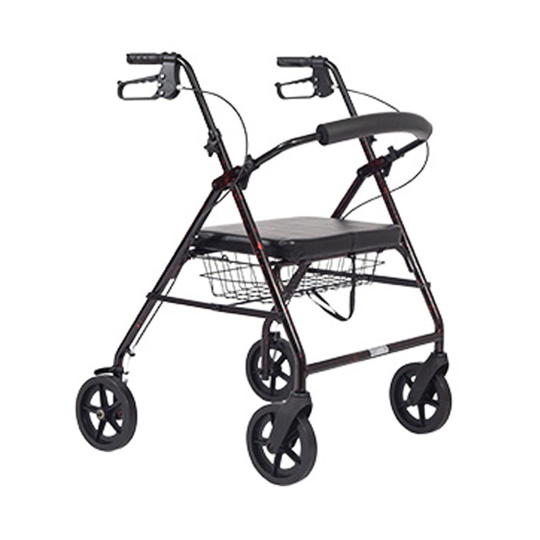 Ausilio a noleggio